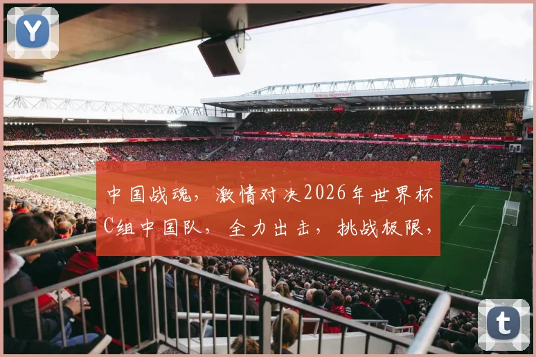 中国战魂，激情对决2026年世界杯C组中国队，全力出击，挑战极限，全力以赴