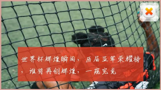 世界杯辉煌瞬间，历届亚军荣耀榜，谁将再创辉煌，一窥究竟